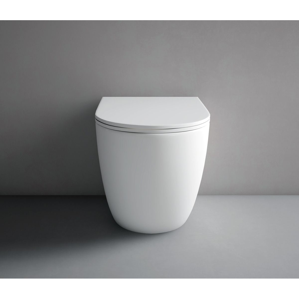Hyde Rimless Wall Faced Pan - Complete