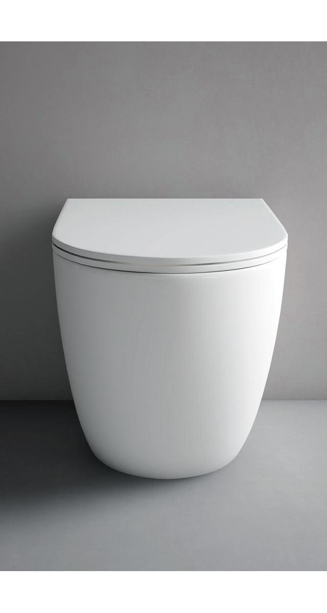 Hyde Rimless Wall Faced Pan - Complete