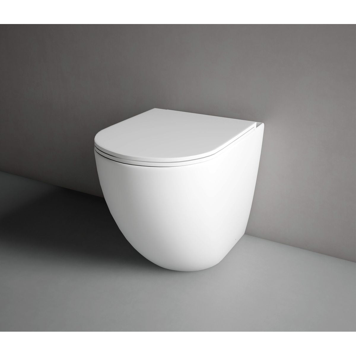 Hyde Rimless Wall Faced Pan - Complete