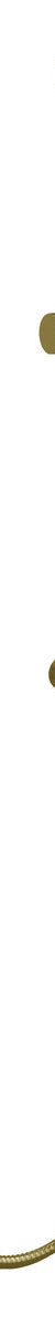Otti Pavia Brushed Gold Shower Rail with Round Handheld Shower Piece