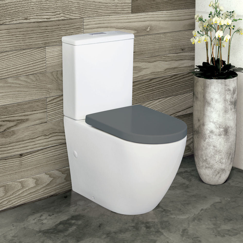 Fienza Alix Back-to-Wall Toilet Suite with Grey Seat