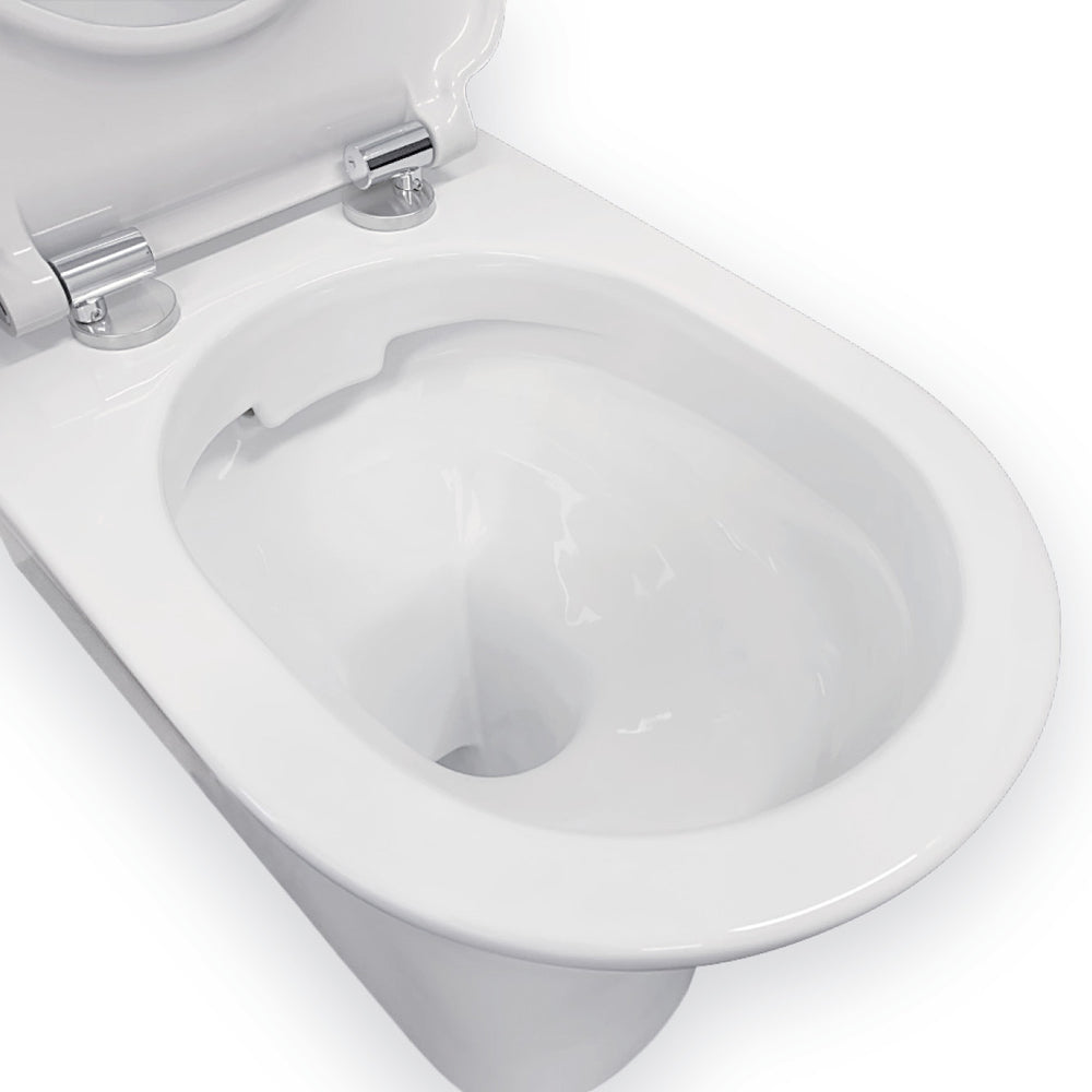 Fienza Delta Care Back-to-Wall Toilet Suite, Raised Buttons