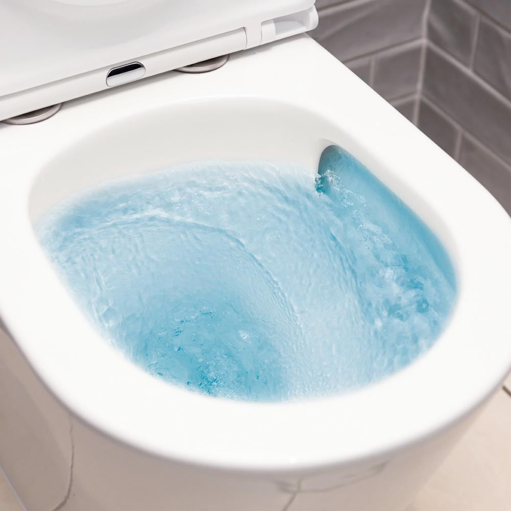 Fienza Kaya Tornado Flush Back-to-Wall Toilet Suite with Slim Seat