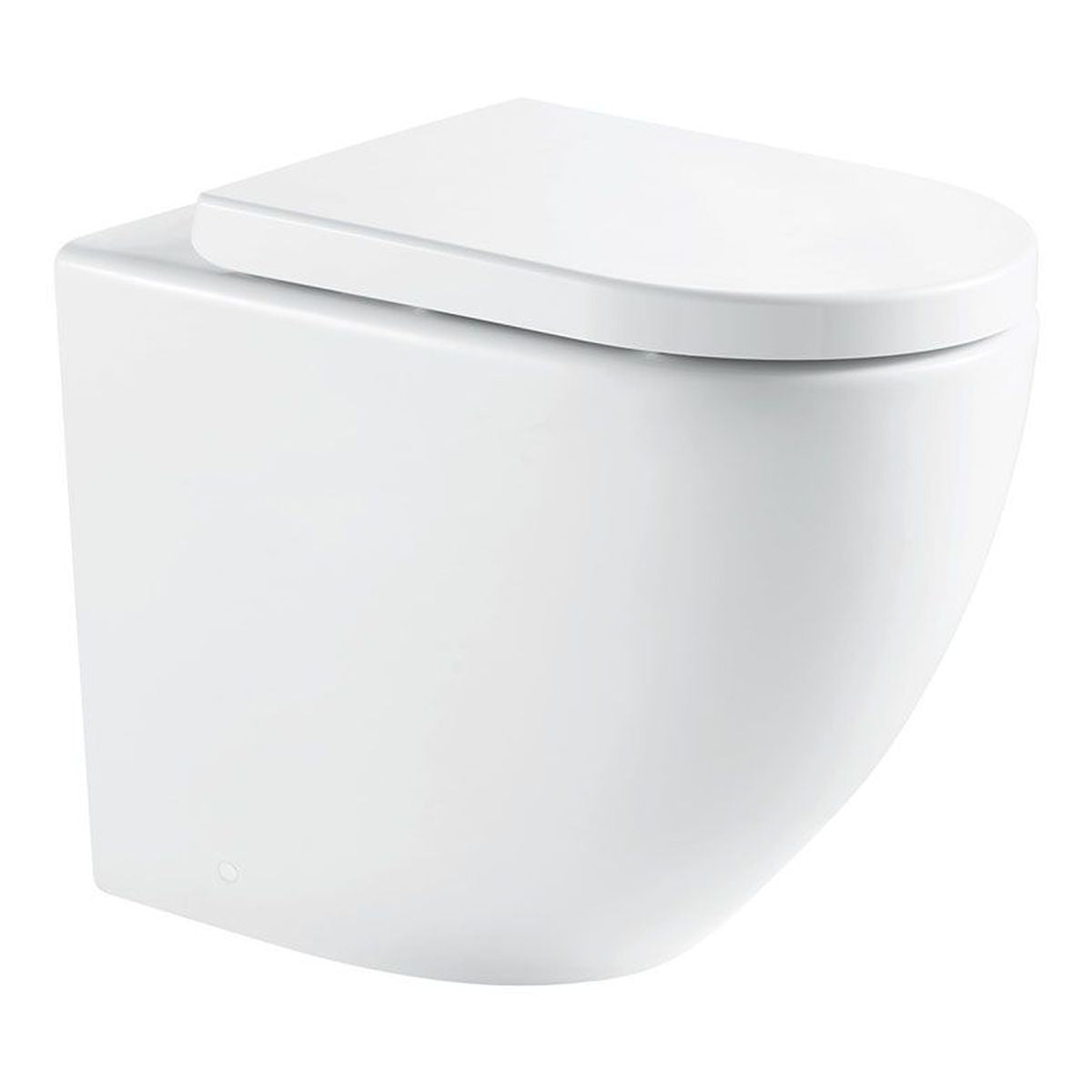Fienza Alix Ambulant Wall-Faced Toilet Suite