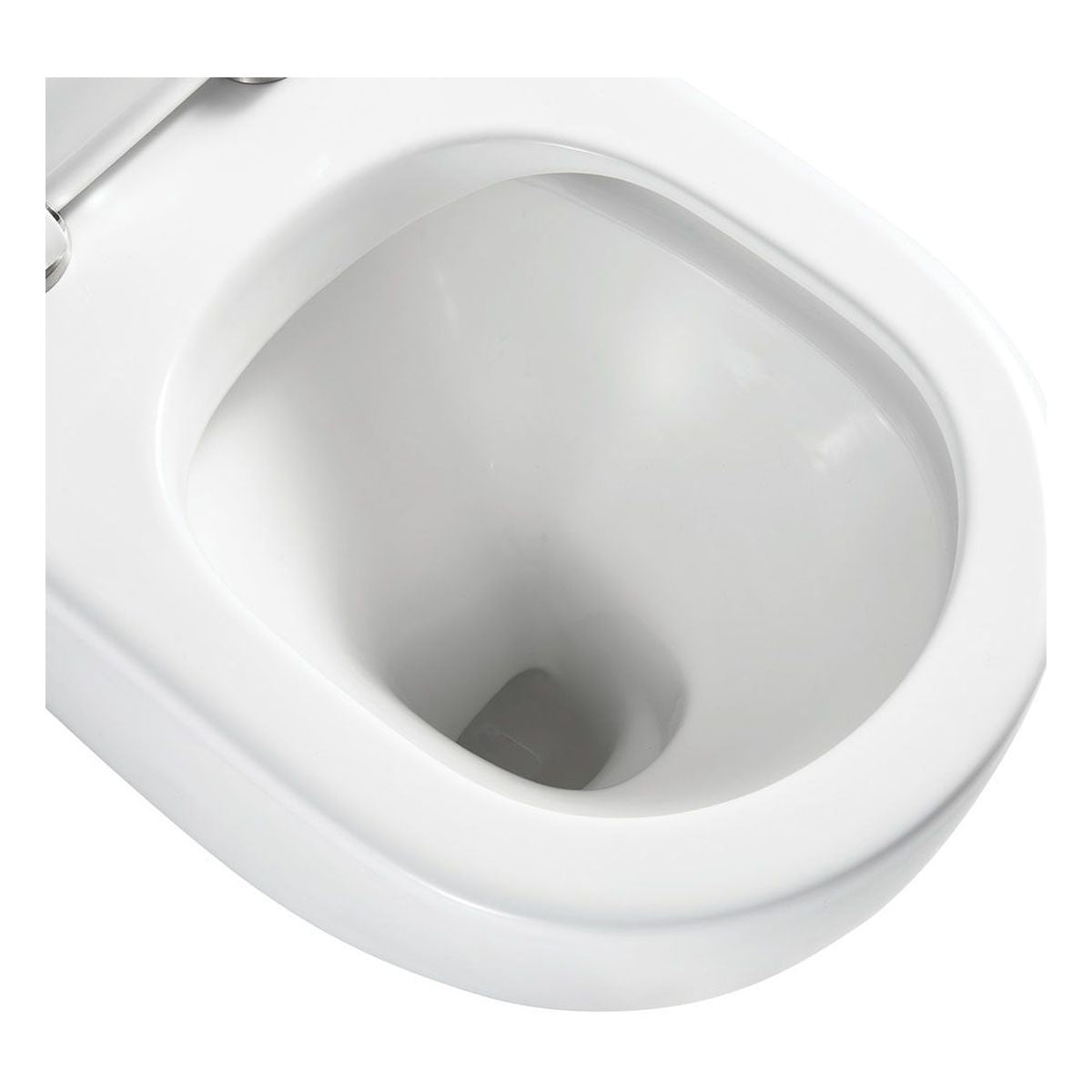 Fienza Alix Ambulant Wall-Faced Toilet Suite