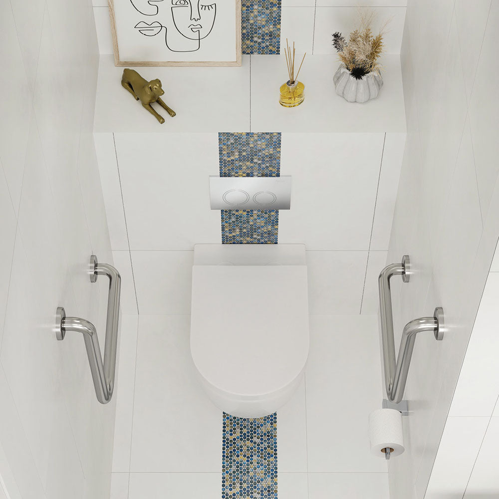 Fienza Alix Ambulant Wall-Faced Toilet Suite