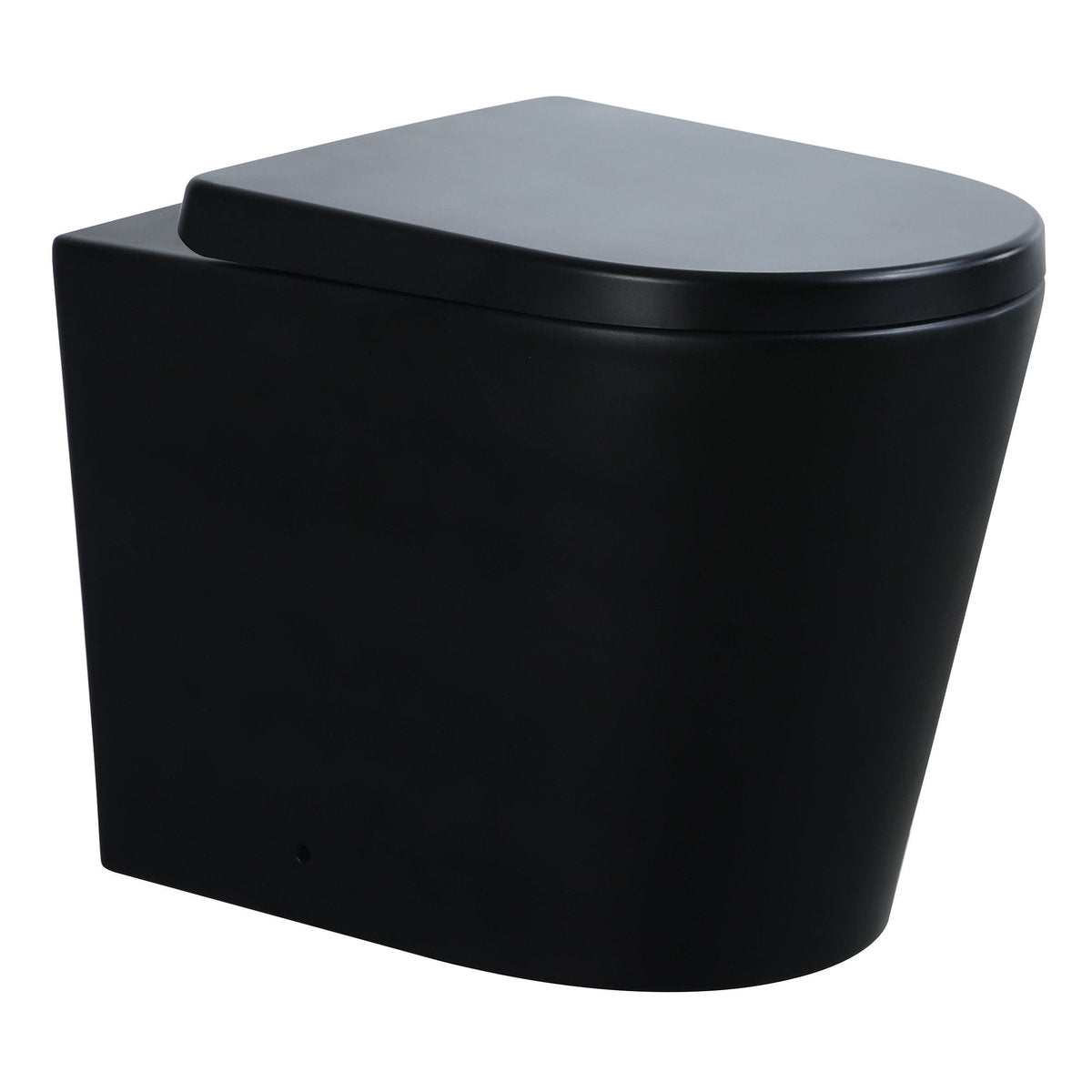 Avis Black Wall-Faced Rimless Floor Pan