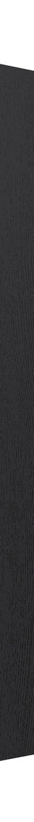 Otti End Panel 880x580x16 Black Oak