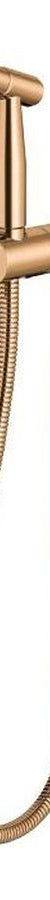 Meir Bidet Spray With Mixer, Lustre Bronze