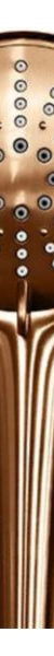 Meir Round Hand Shower Three-Function, Lustre Bronze