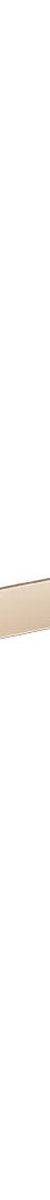 Meir Curvae Single Towel Rail 800MM Champagne