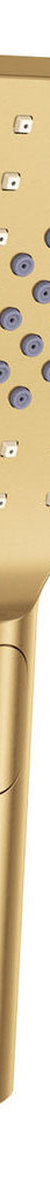 Fienza Tono Shower Hand Piece, Urban Brass
