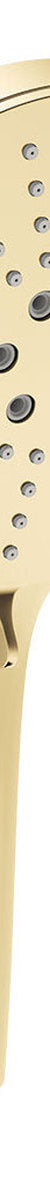 Fienza Empire Slim Handheld Shower Head 3 Function, Urban Brass