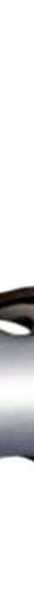 Fienza Slider - To Suit 20mm Diameter Rail