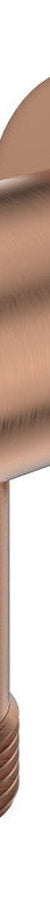 Fienza Shower Inlet Elbow With Dual Check Valve, Brushed Copper