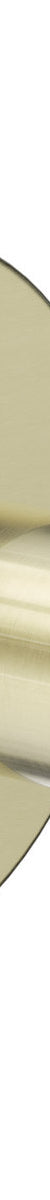 Nero Dolce II Robe Hook Brushed Gold