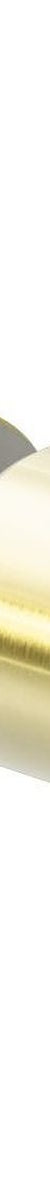Round Shower Knob Brushed Gold