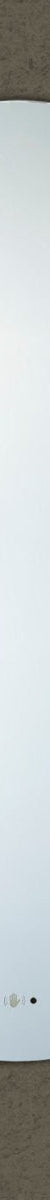 Oval LED Mirror 450 x 900mm