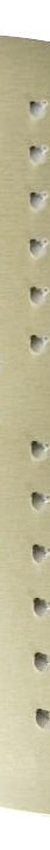 Otti Pavia 250mm Brushed Gold Shower Head Stainless Steel Round