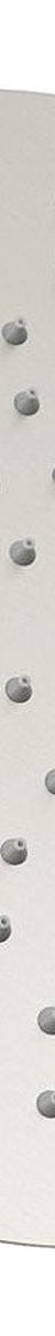 Otti Pavia 250mm Brushed Nickel Shower Head Stainless Steel Round