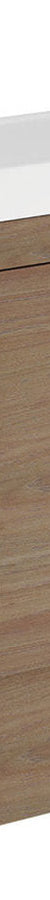 Fienza Riley Slim Ensuite 450 Floor Standing Vanity, Denzel Basin-Top