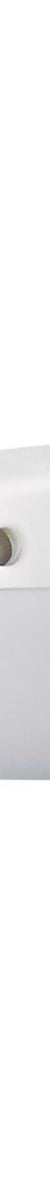 Fienza Stella Care Wall Basin, No Tap Hole