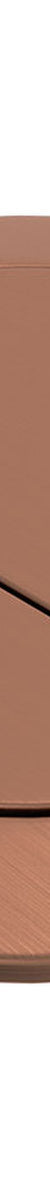 Fienza Back to Wall Round Toilet Flush Buttons, PVD Brushed Copper