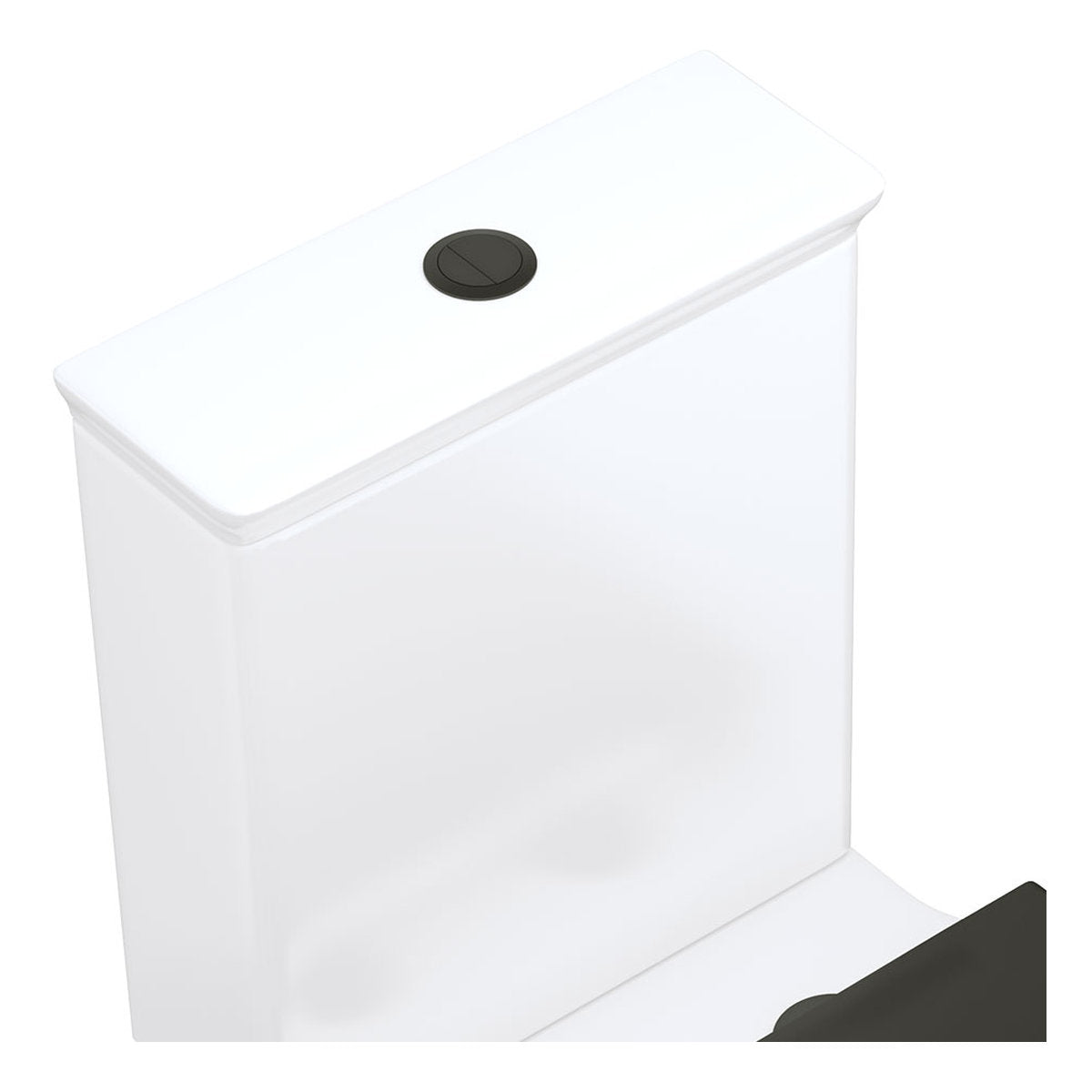 Fienza Back to Wall Round Toilet Flush Buttons, Matte Black