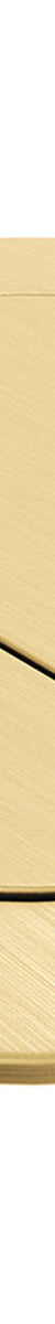 Fienza Back to Wall Round Toilet Flush Buttons, PVD Urban Brass