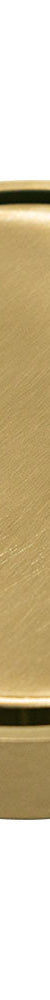 Fienza Round 2-in-1 Tile Bed Floor Waste, 88mm Outlet, Urban Brass
