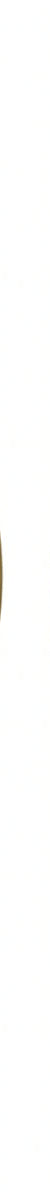 Turner Hastings WhisperFlush Thick Toilet Seat Hinge Cap Covers - Brushed Brass