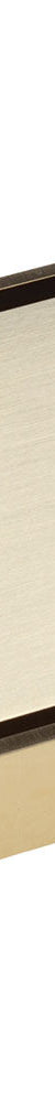 Fienza Square Tile 2-in-1 Floor Waste, 88mm Outlet, Urban Brass