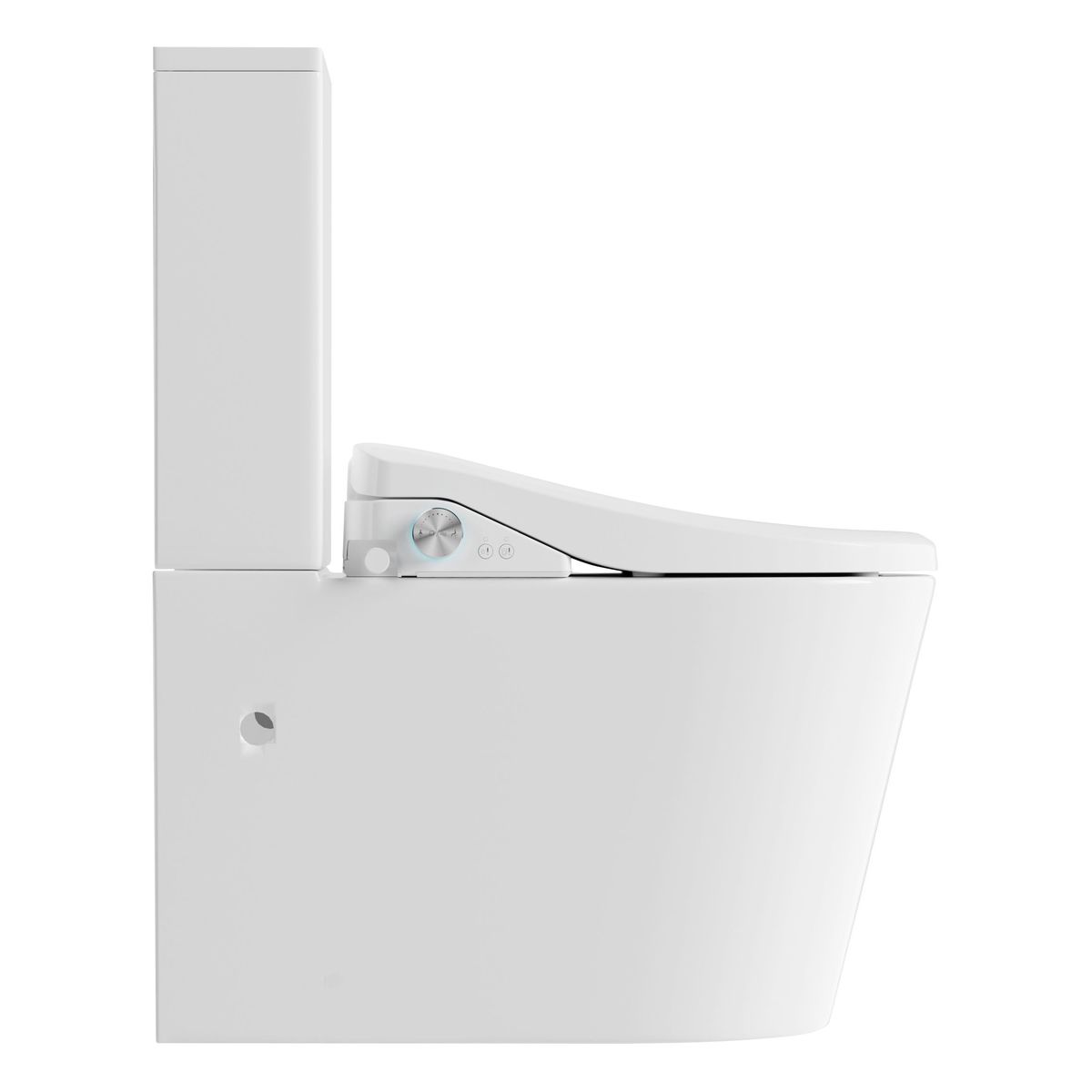 Catania Bidet Seat With Vega Rimless Toilet