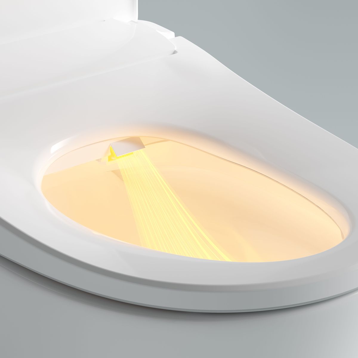 Thea Luxury Bidet Seat With Vega Rimless Toilet
