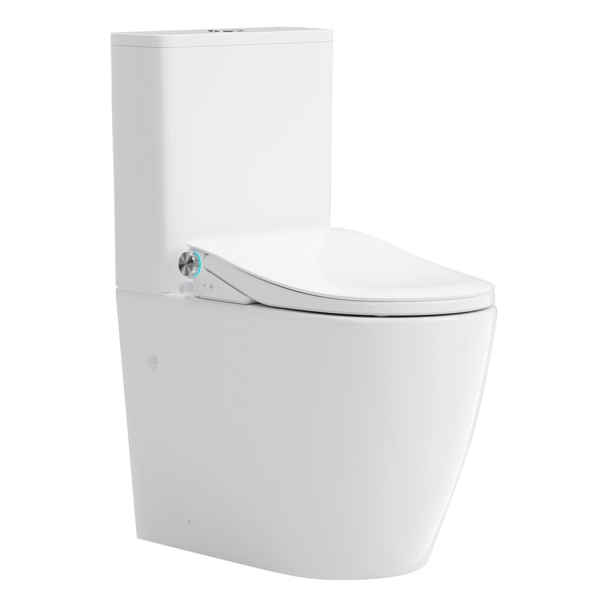 Thea Standard Bidet Seat With Vega Rimless Toilet BS36S-TL6086A