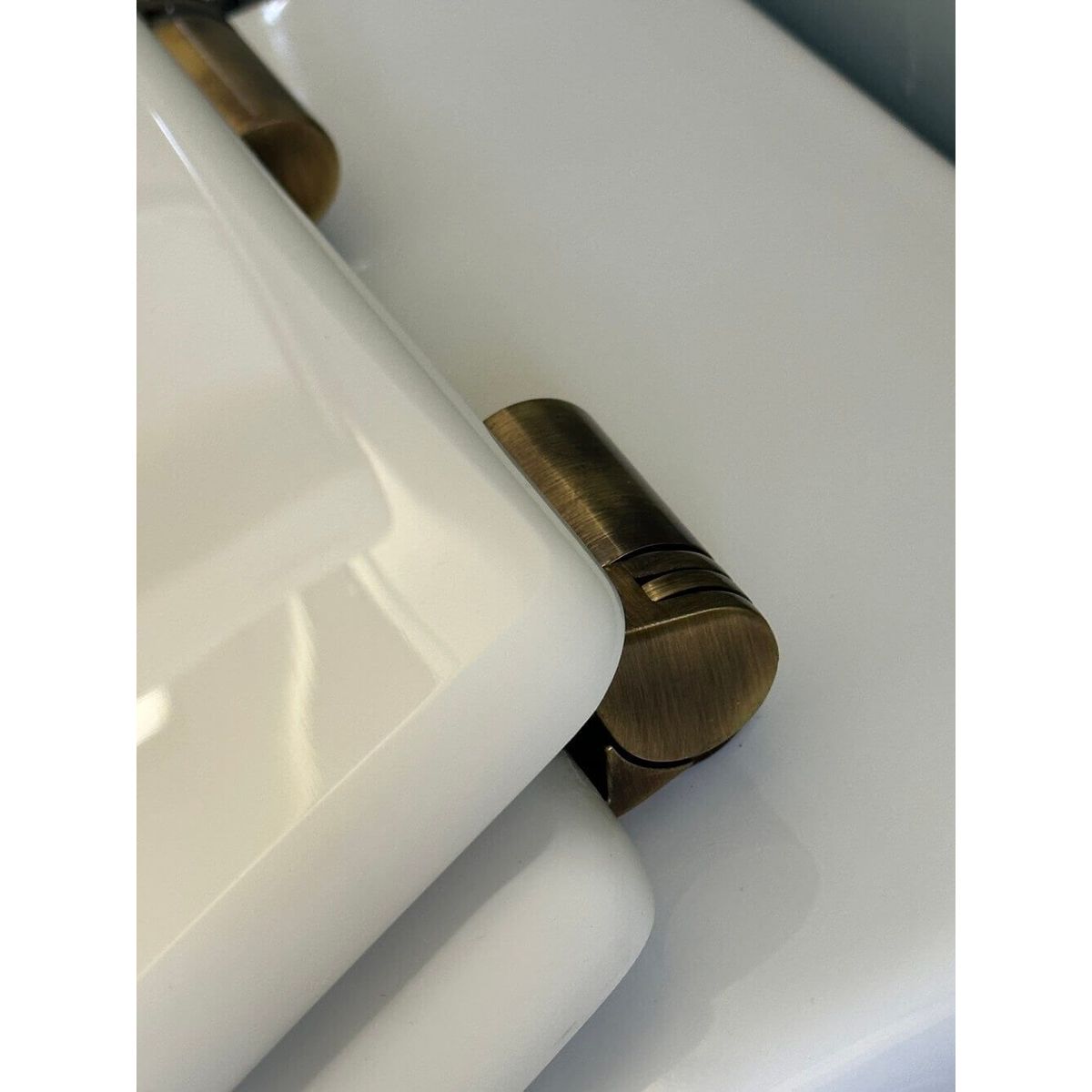 Claremont Floor Mounted Pan, Antique Brass Hinges, Seat And Pan Bend