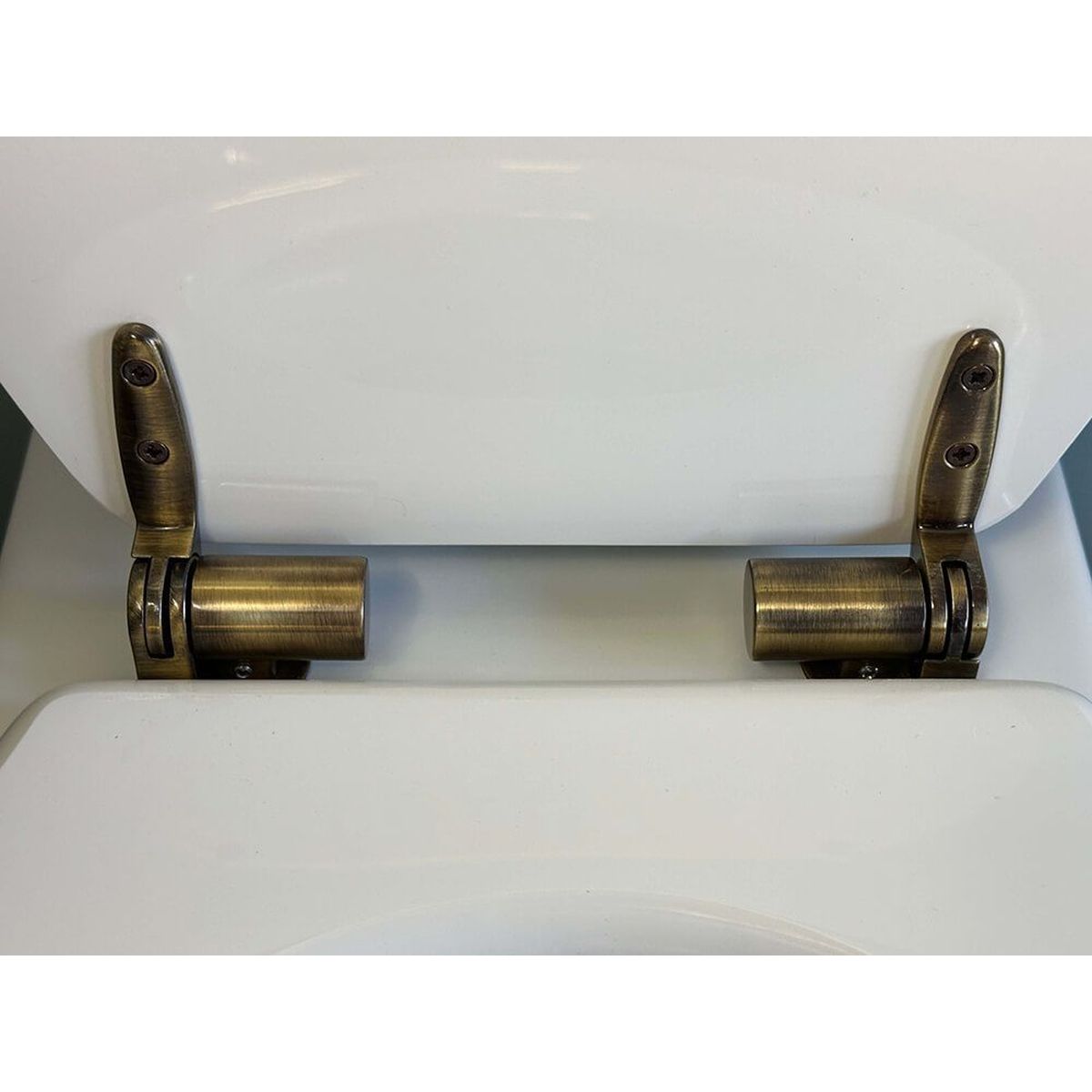 Claremont Floor Mounted Pan, Antique Brass Hinges, Seat And Pan Bend