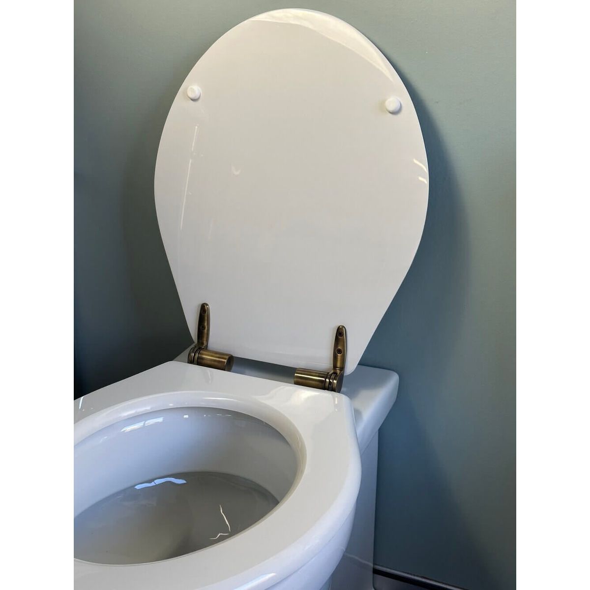 Claremont Floor Mounted Pan, Antique Brass Hinges, Seat And Pan Bend
