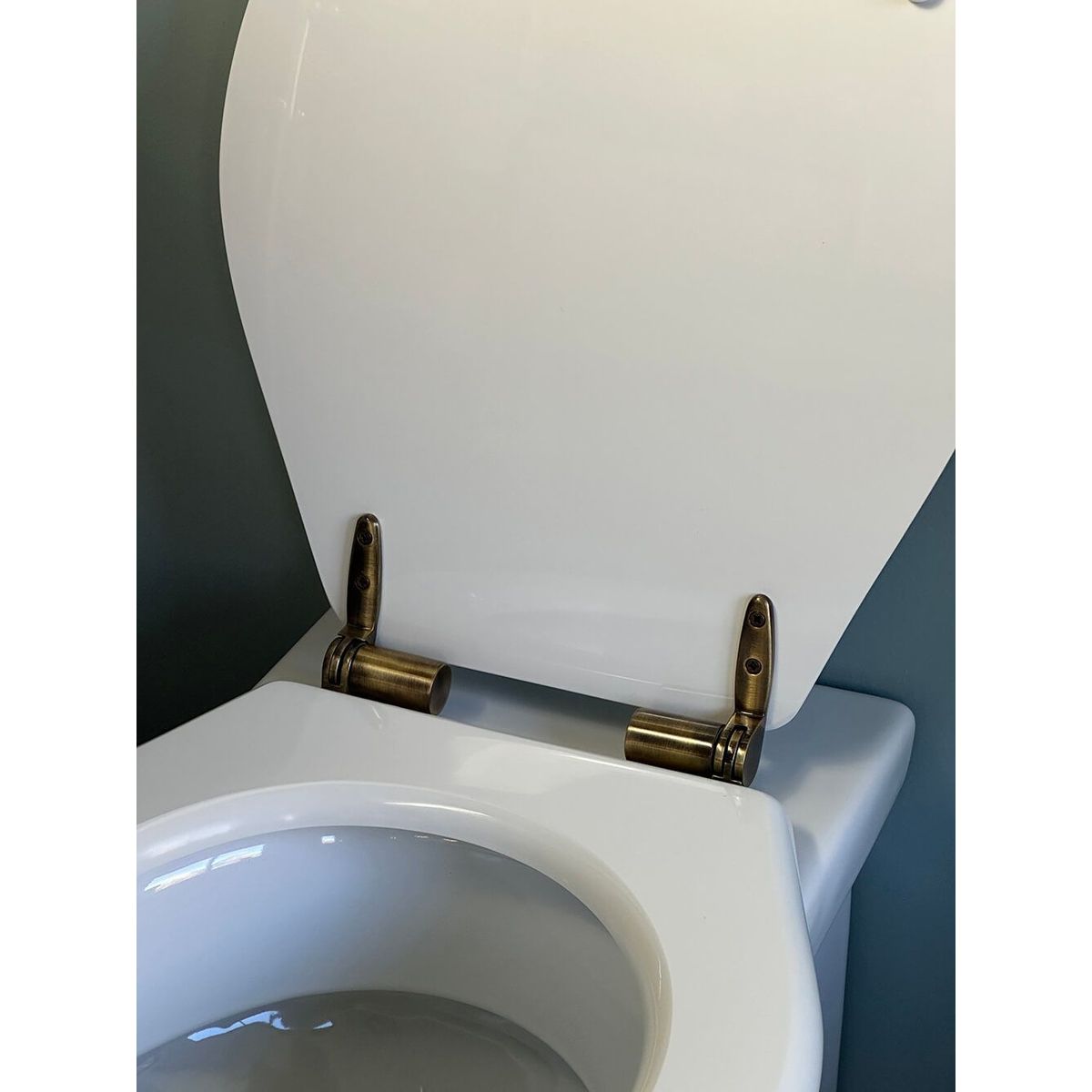 Claremont White Soft Close Toilet Seat - Antique Brass Hinges