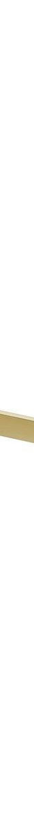 Gloss Single Towel Rail 800mm - Brushed Gold