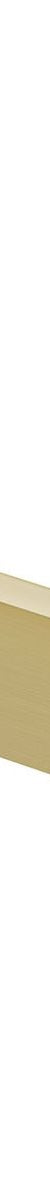 Gloss Toilet Roll Holder - Brushed Gold