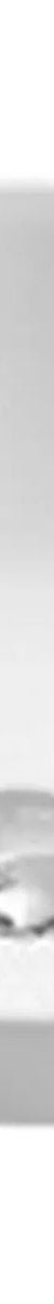 Bondi 400 Round Basin - Gloss White