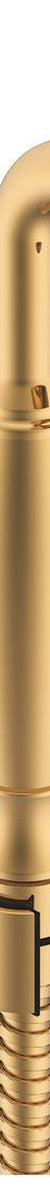Eternal Hand Shower On Hook in Brushed Brass (PVD)