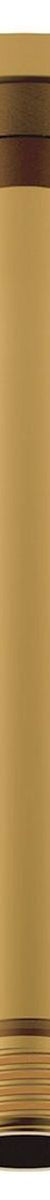 Soul 100mm Shower Dropper in Brushed Brass (PVD)