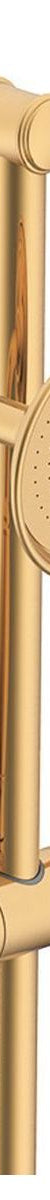 Eternal Hand Shower On Rail in Brushed Brass (PVD)