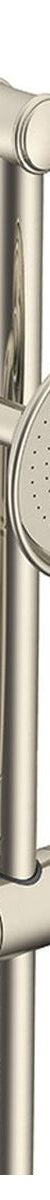 Eternal Hand Shower On Rail in Brushed Nickel (PVD)