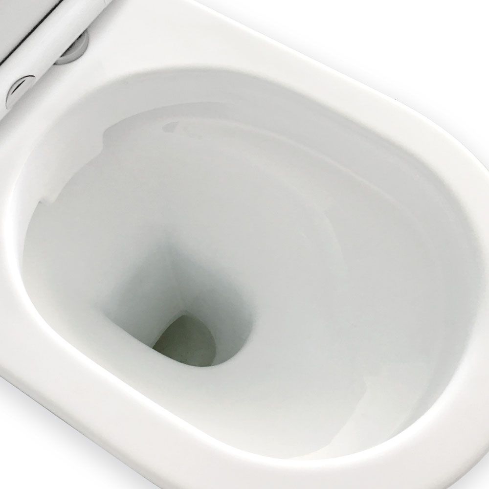 Fienza Delta Back-to-Wall Toilet Suite