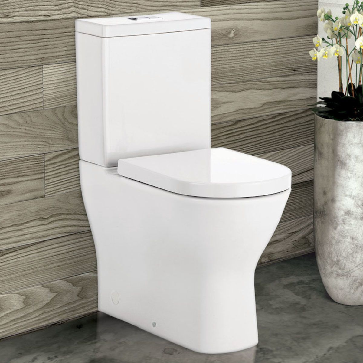 Fienza Delta Back-to-Wall Toilet Suite