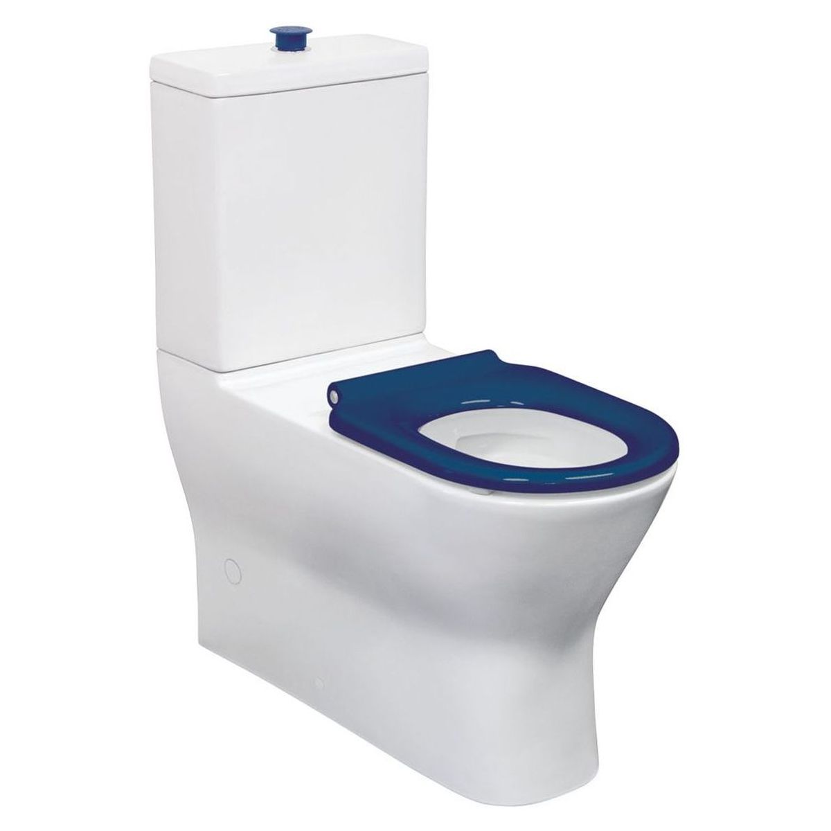 Fienza Delta Care Back-to-Wall Toilet Suite, Blue Seat