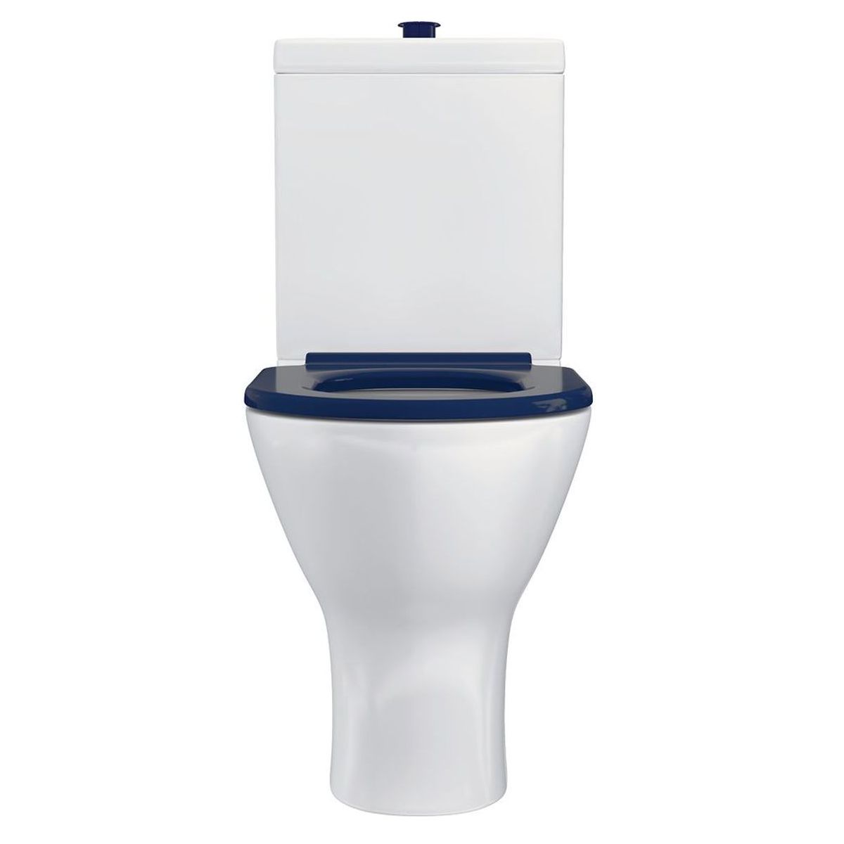 Fienza Delta Care Back-to-Wall Toilet Suite, Blue Seat